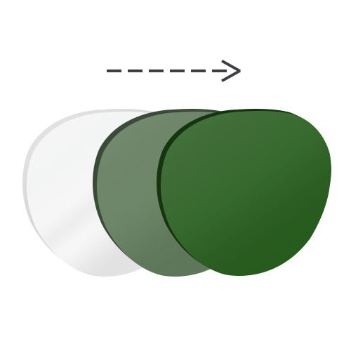 Donahugh-LensAdvizor-Basic Lens